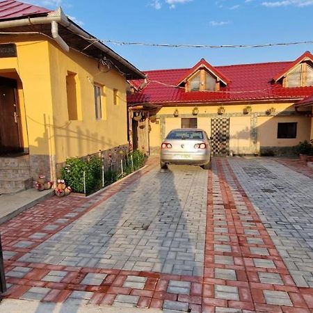 Pensiunea Casa Andreea Novaci-Straini Exterior photo
