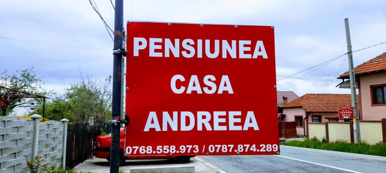 Pensiunea Casa Andreea Novaci-Straini Exterior photo